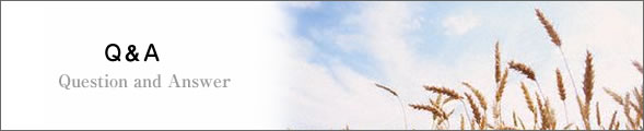 Q&A